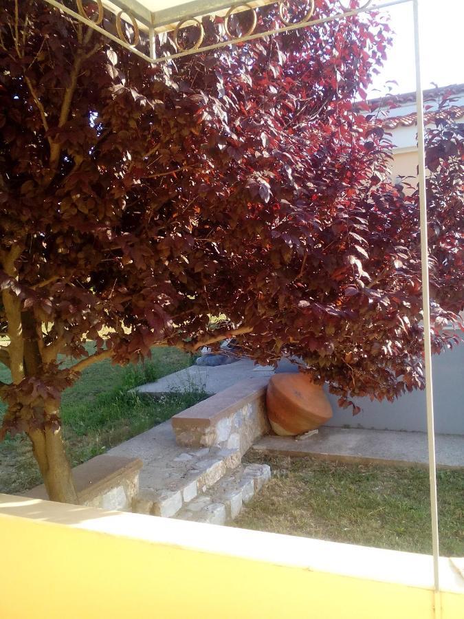 Studios Στουσ Πυργουσ Θερμησ Mytilíni Esterno foto